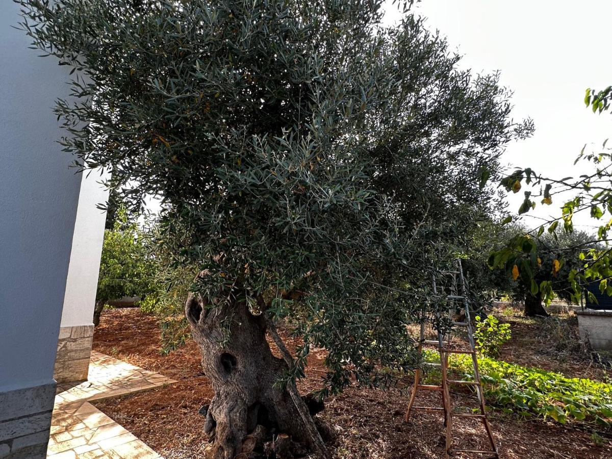 Apartamento Casa Bianca Relax Castellana Grotte Exterior foto
